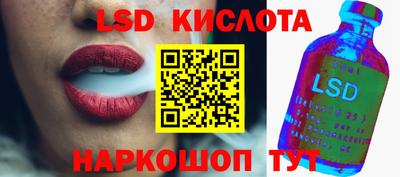 дмт Аргун