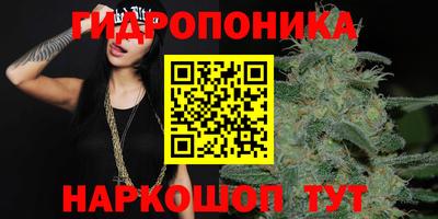 дмт Аргун
