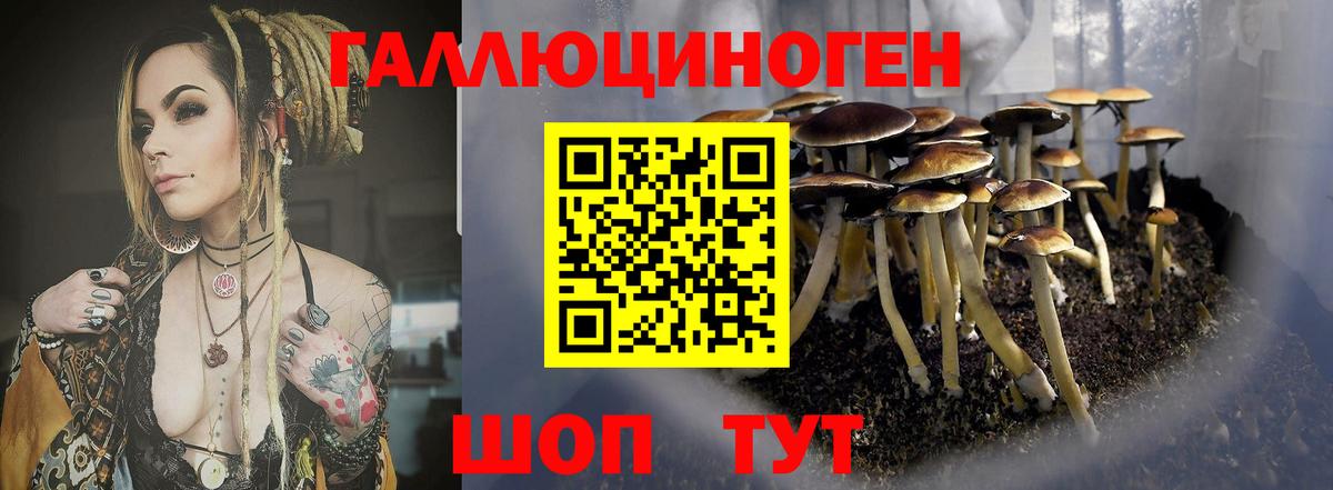 Галлюциногенные грибы мухоморы Ангарск